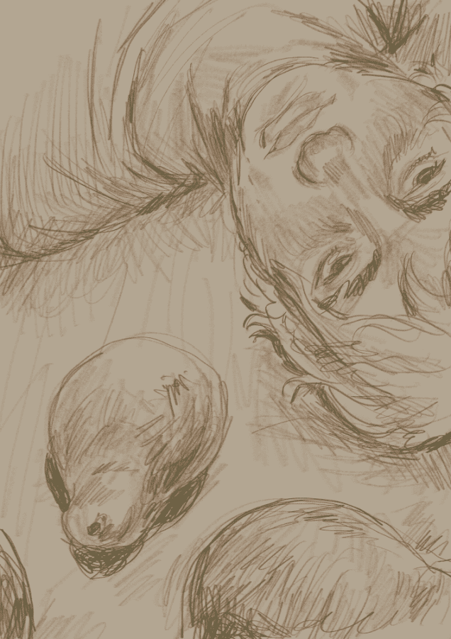 irvin laying on the ground beside some pears